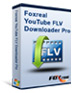YouTube FLV Downloader Pro