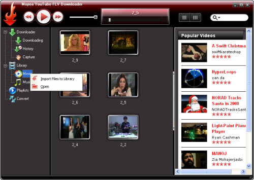 YouTube FLV Downloader