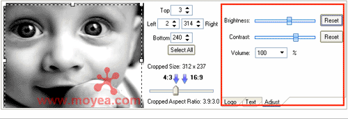 adjust flv