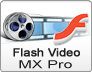 flash_video_mx_pro