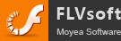 FLVsoft