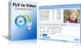 flv converter