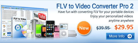 flv to video