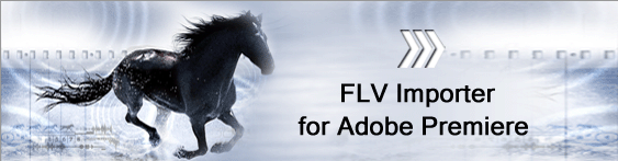 Click to view FLV Importer Pro for Adobe Premiere Pro 2.0.4.4 screenshot