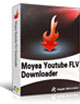 YouTube FLV Downloader