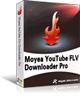 YouTube FLV Downloader Pro