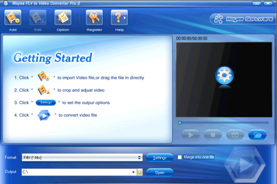 online flash video downloader converter