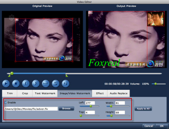Image Video Watermark