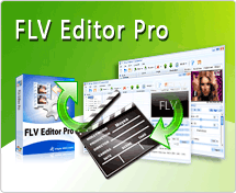 FLV Editor Pro