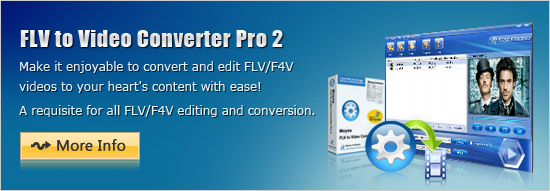 Make it enjoyable to convert and edit FLV/F4V videos to your heart's content with ease!
A requisite for all FLV/F4V editing and conversion.