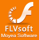 FLVsoft