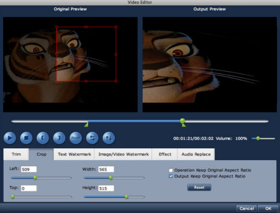 Crop MKV Video