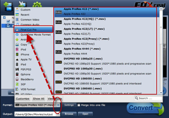 MKV Converter Mac Output