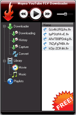 YouTube FLV Downloader