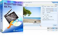 Flash Video MX Pro