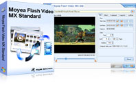 Flash Video MX Std