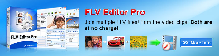 Free Flv Binder Flv Converter 3.0!