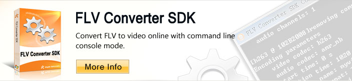 Command line version of FLV to video converter