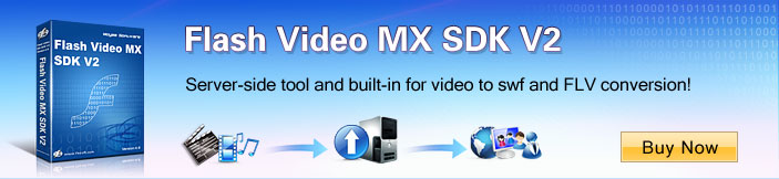 Server-side tool for video to FLV/SWF conversion