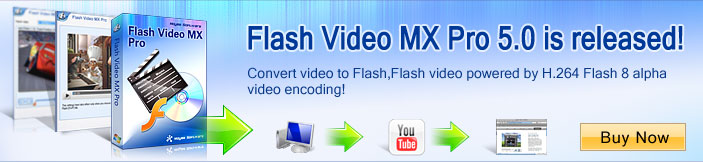 Flash 8 encoder - convert video to FLV, AVI to FLV/SWF