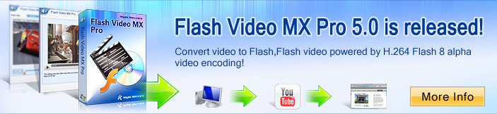 Flash 8 encoder - convert video to FLV, AVI to FLV/SWF