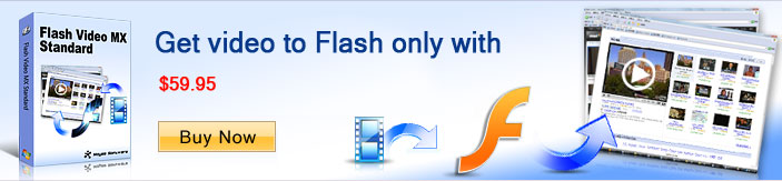 Acquista Flash Video MX Std