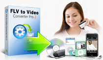 FLV to Video Converter Pro 2