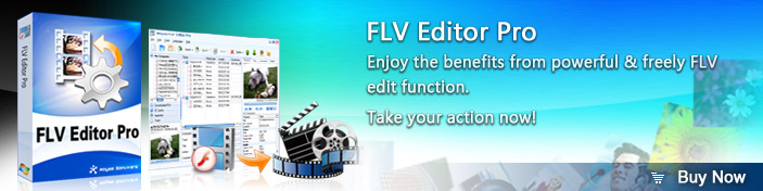 FLV Editor Pro