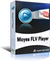 FLV Player
