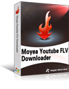 YouTube FLV Downloader