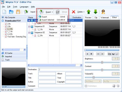 Export the sequence and convert