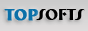 flash video software