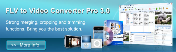 FLV Converter