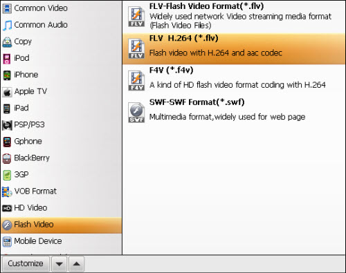 Choose compatible output format FLV/AVI/MPEG/MP4 to YouTube for uploading